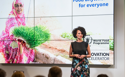 How To Apply For United Nations WFP Innovation Challenge 2023