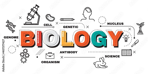 2023/2024 WAEC Syllabus for Biology (By Sections A, B & C)